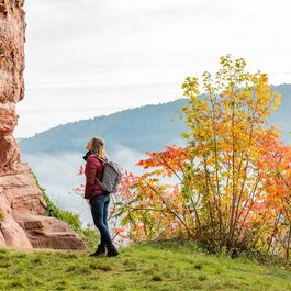 Frau betrachtet Felsenwand im herbstlichen Wald mit bunten Bäumen