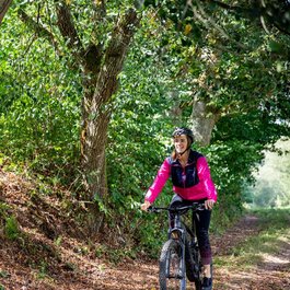Frau fährt Mountainbike auf Waldweg bei sonnigem Wetter