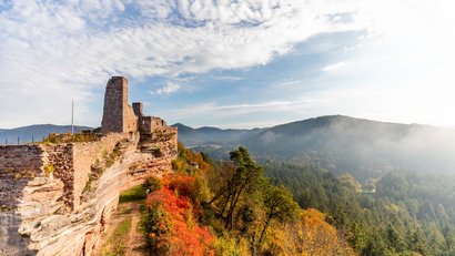 Burgruine auf Felsen mit herbstlichem Wald und Bergen im Nebel