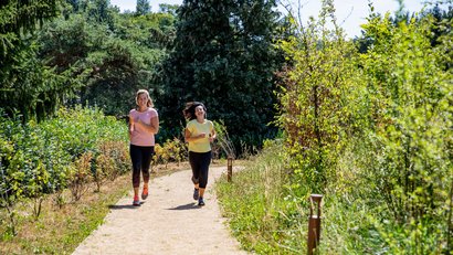 Zwei Frauen joggen auf einem Waldweg umgeben von grünem Laub bei Sonnenschein