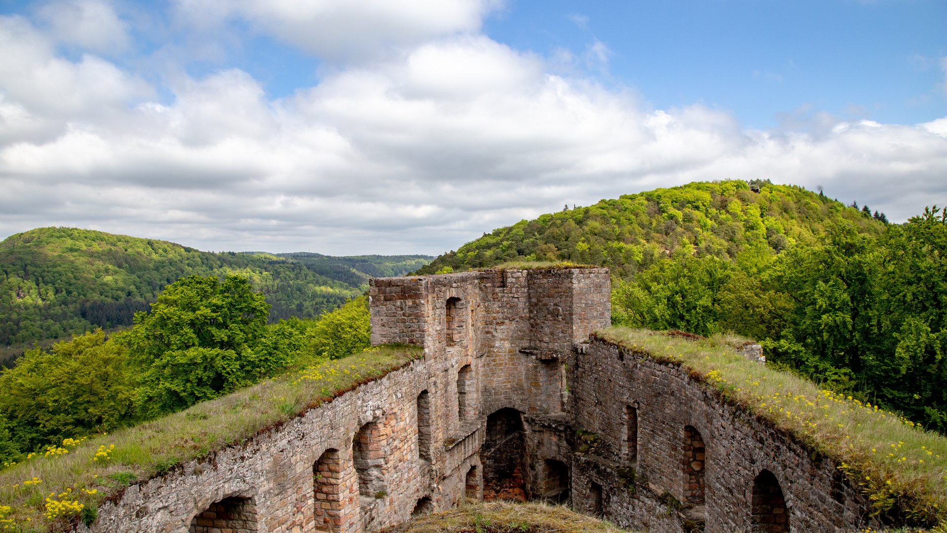 Ruine einer alten Festung mit bewachsenen Mauern vor bewaldeten Hügeln