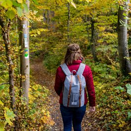 Frau mit Rucksack wandert auf Waldweg im Herbst