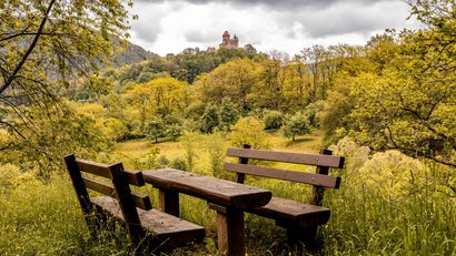 Holzbank und Tisch im Gras vor bewaldetem Hügel mit Schloss